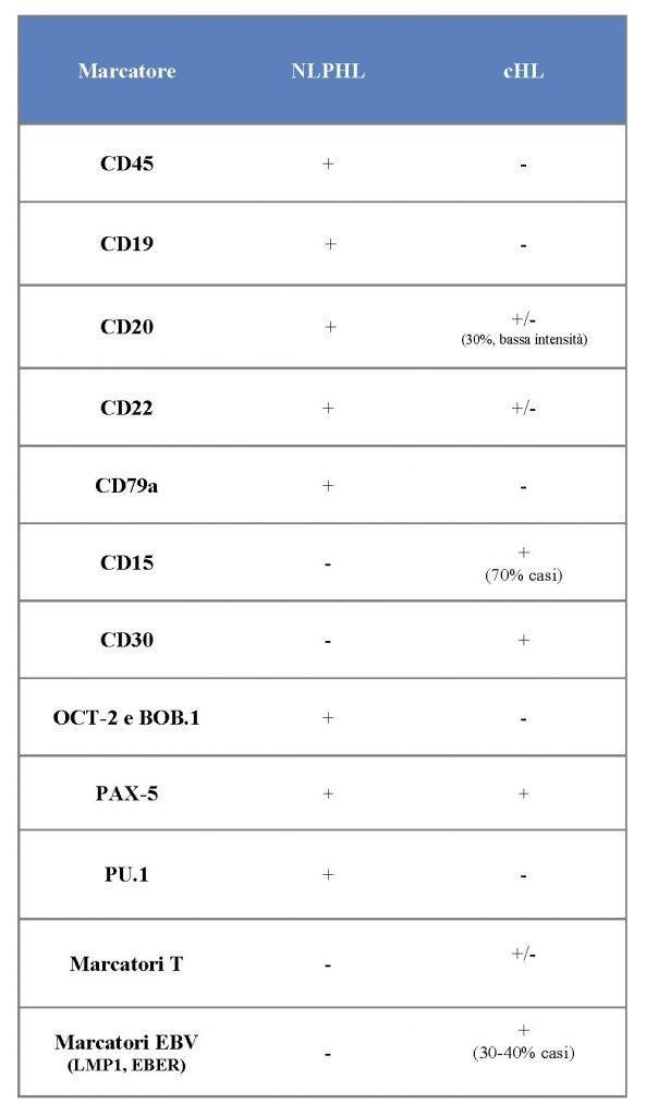 epub concepts as correlates of lexical labels a cognitivist perspective